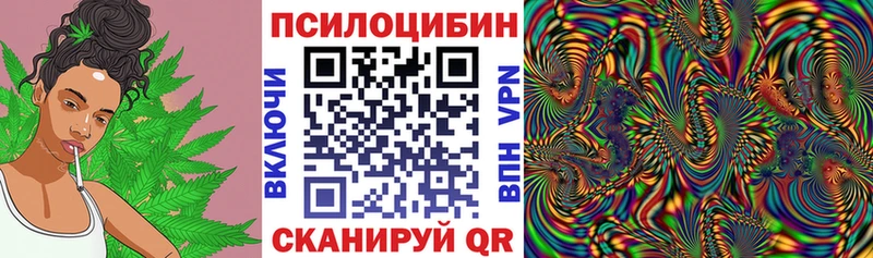 Псилоцибиновые грибы Psilocybine cubensis Калачинск